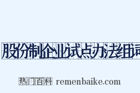 股份制企业试点办法组词是什么意思的图片
